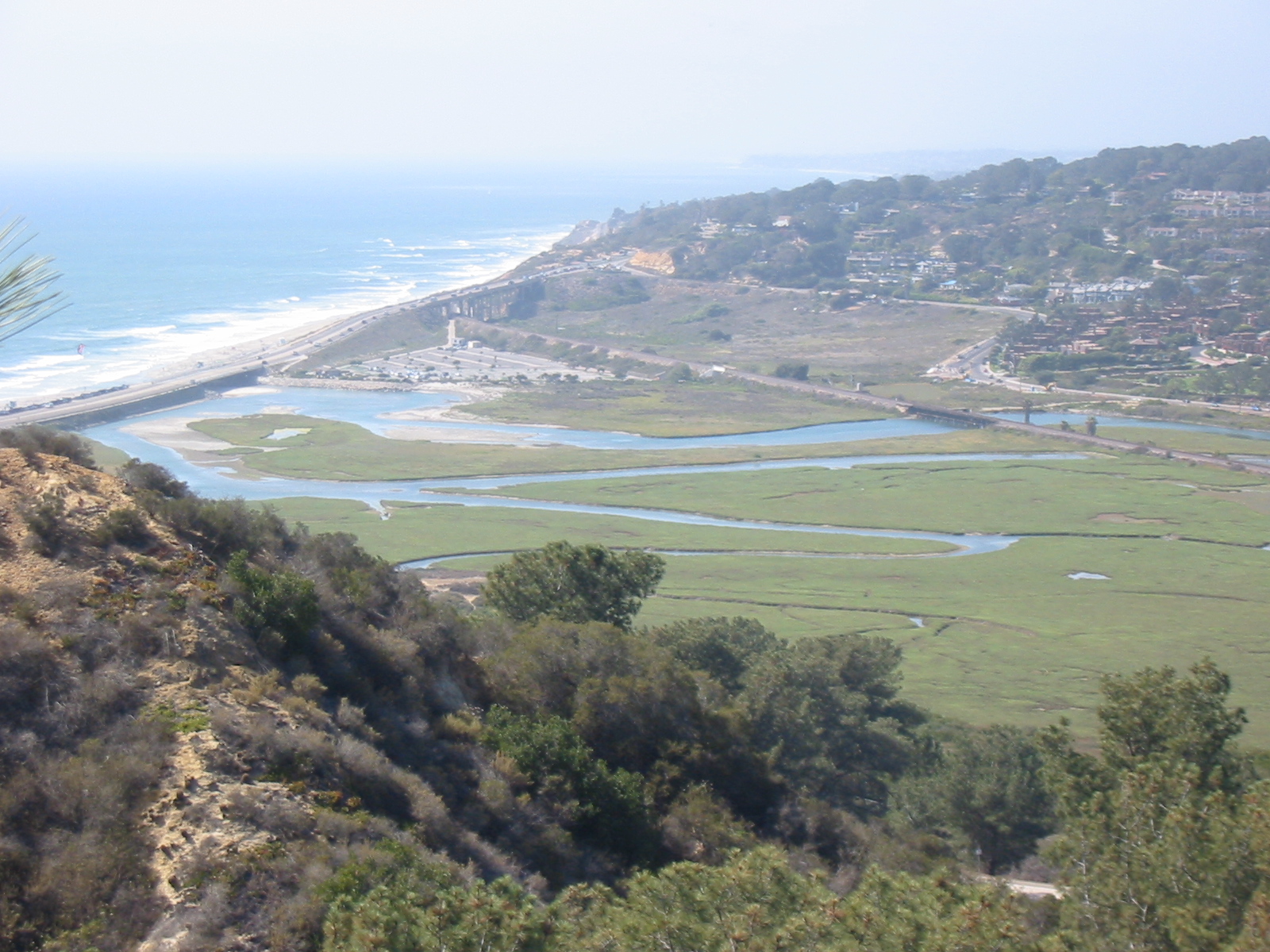 Estuaries And Lagoons