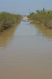 Flooded road to Border Field State Park