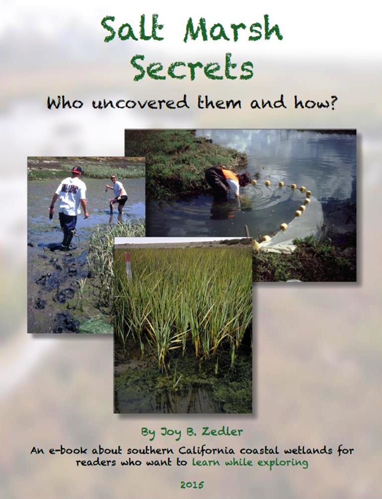 Salt Marsh Secrets e-book cover