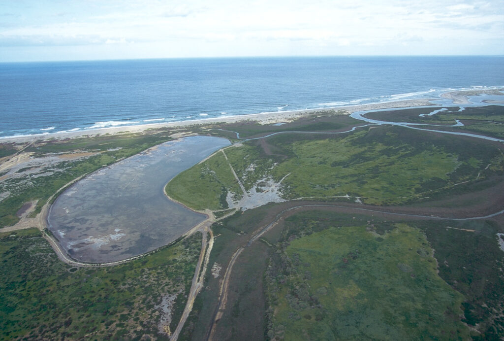 Aerial photograph showing the general project area, which is located east of the Pacific Ocean and south of the Tijuana River inlet to the ocean. The Model Marsh is visible on the left side of the photo.