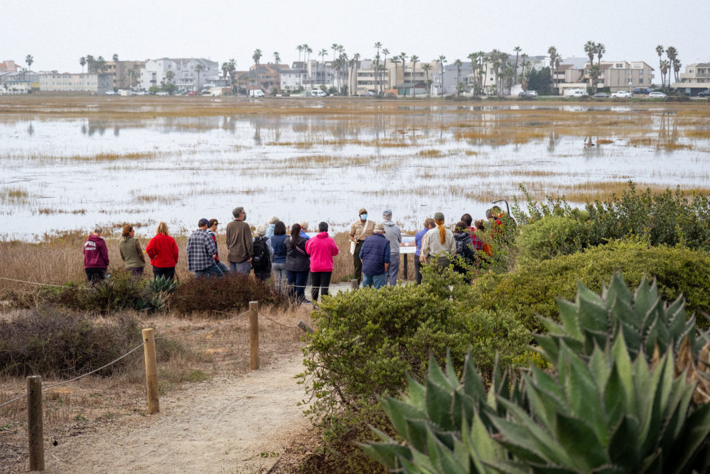 Group of people overlooking the marsh at the Tijuana Estuary for a guided nature walk