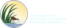 Tijuana Estuary - Tijuana River National Estuarine Research Reserve