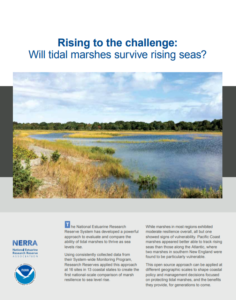 Marsh Resilience Assessment cover page