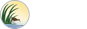 Tijuana Estuary - Tijuana River National Estuarine Research Reserve