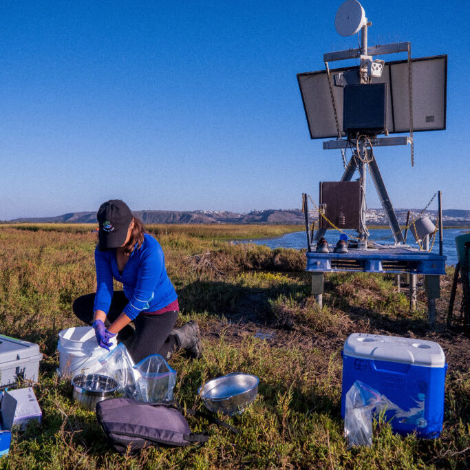 Student researcher Nancy Torres washes and separates the samples she's collected into multiple composites in the Tijuana Estuary.