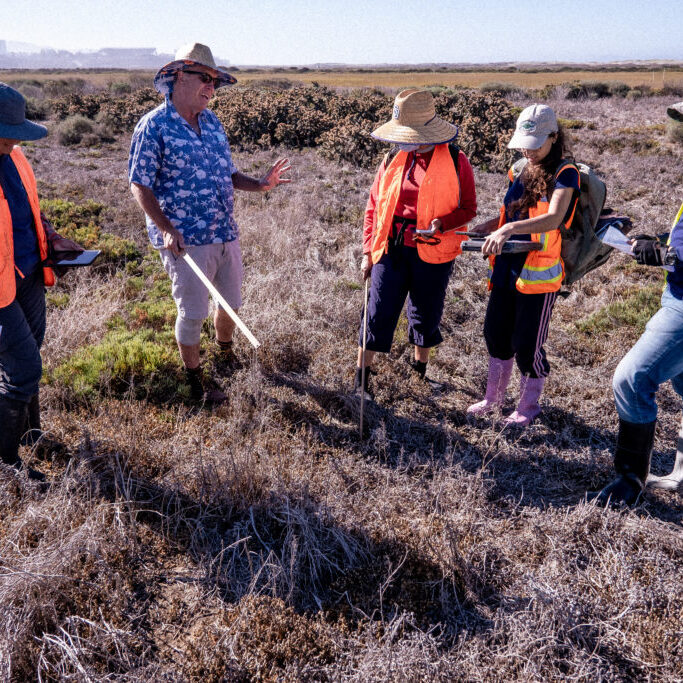 Jeff Crooks from the Tijuana River National Estuarine Research Reserve works with employees from State Parks, and Fish &amp; Wildlife conducting a vegetation sampling study in the Tijuana River Estuary to the South of Imperial Beach, California.