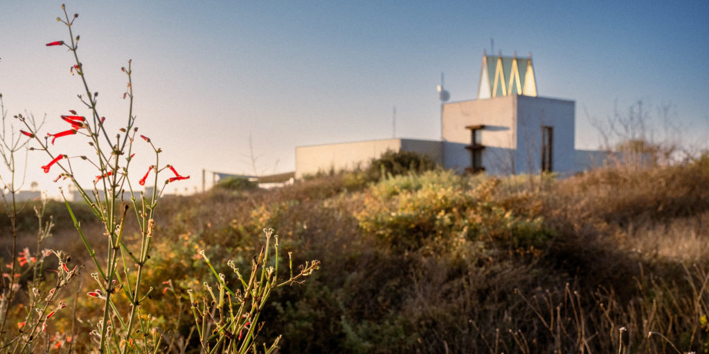Foliage of the Tijuana Estuary Visitor Center with the Visitor Center in the background