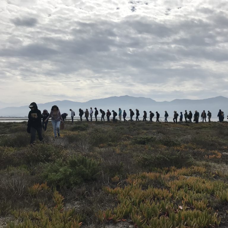 People participate in a field experience in a wetland of importance.