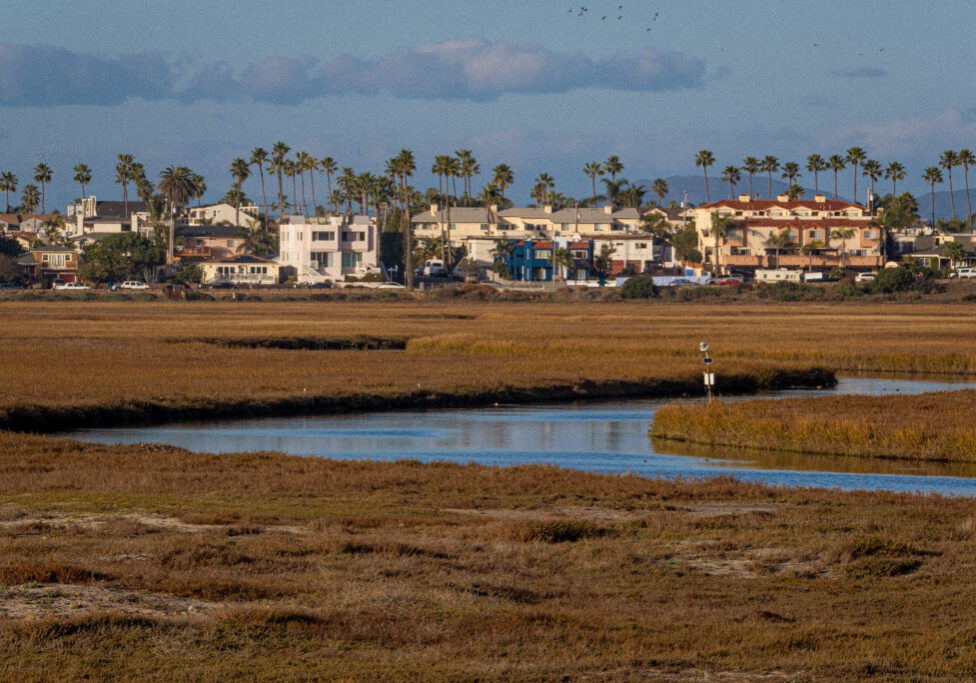 A view of the Estuary with the city of Imperial Beach in the background
